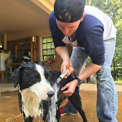 Profile Picture of Thomas Rose (@thomasrose155) on Youtube