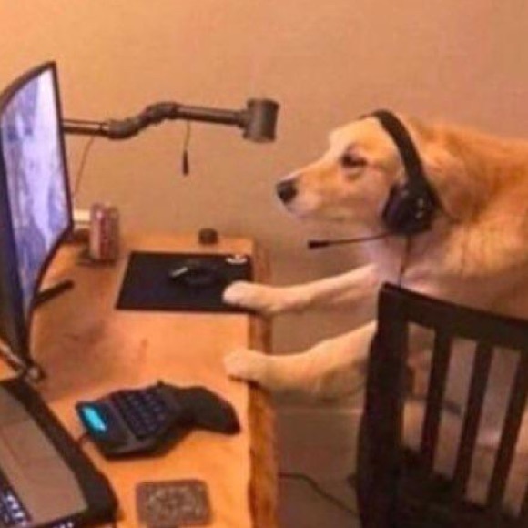 Profile Picture of Joseph Wagner (@coolcooly15) on Poshmark