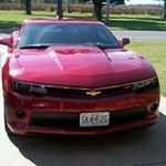 Profile Picture of David Ottinger (@davidottinger) on Instagram