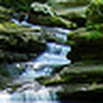 Profile Picture of John Garrett (@outdoorsurvival) on Flickr