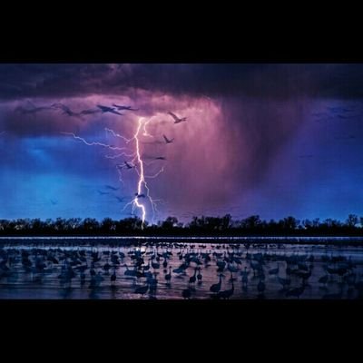 Profile Picture of ANDY ESTRADA QUIROS (@estrada_quiros) on Twitter