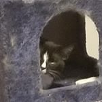 Profile Picture of Colby Craig (@colby.craig.1232) on Instagram