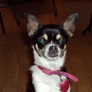 Profile Picture of Robin Sadowski (@255755975) on Myspace