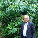 Profile Picture of MohamadAlam (@mohamadalam2004) on Instagram