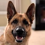 Profile Picture of Lynn Ann Ljungquist-Flavin (@lynnflavin) on Instagram