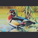 Profile Picture of Joseph kirshy (@kirshy5528) on Instagram