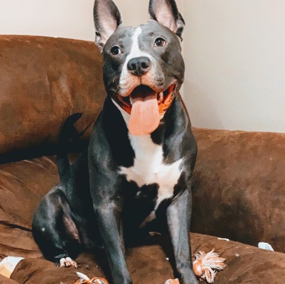 Profile Picture of Lee Rintaniemi (@gr8tflow) on Poshmark