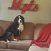 Profile Picture of Jeffrey Nelson (@jeffrey.nelson.5249) on Facebook