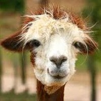 Profile Picture of Kenneth Hardman (@kenneth-hardman-6) on Quora