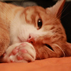Profile Picture of Dario (@Dario Fanny) on Flickr