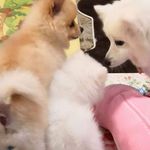 Profile Picture of Linus Cheung (@linus65.kc) on Instagram