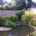 Profile Picture of Cecilia Gallego (@ceciliagallego12) on Instagram