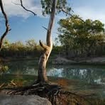 Profile Picture of Murray James (@Murray-James) on Facebook