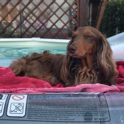 Profile Picture of Marc7 (@marc_sette) on Twitter