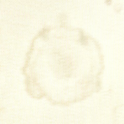Profile Picture of Thomas Mcphee (@ThomasMcphee6) on Twitter