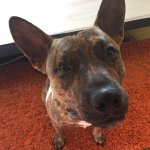 Profile Picture of Ed Preston (@edprestonn) on Instagram