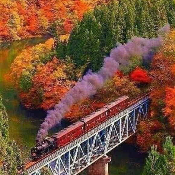 Profile Picture of Dorette Adams (@adamsdorette5) on Poshmark