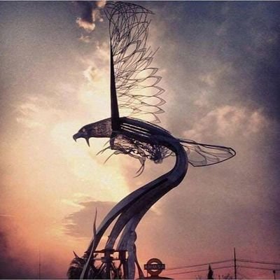 Profile Picture of Cuauhtémoc Gutiérrez (@CuauhtmocGutir1) on Twitter