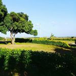 Profile Picture of renepope (@renepope68) on Instagram