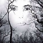 Profile Picture of Marsha Thomas (@thomasruffles) on Instagram