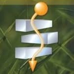 Profile Picture of Schroth Method (@schroththerapy) on Instagram