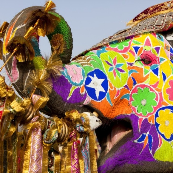 Profile Picture of Cordelia Wright (@dell67) on Poshmark