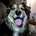 Profile Picture of Shannon Mowatt (@pdxrain) on Flickr