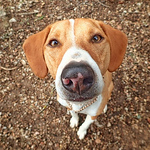 Profile Picture of Antonio Perea (@toni_p_g84) on Flickr