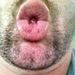Profile Picture of John Sherling jr (@johnsherlingjr) on Pinterest