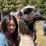 Profile Picture of Casey Nguyen (@caseyvy) on Instagram