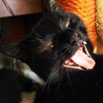 Profile Picture of Jon Epstein (@epstein_official) on Instagram