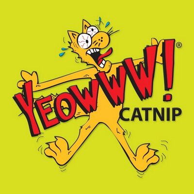 Profile Picture of Yeowww! Catnip (@YeowwwCatnip) on Twitter