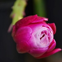 Profile Picture of Mikki Miller (@mikki-miller-2) on Quora