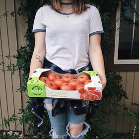 Profile Picture of Lauren Elaine Holly (@lehlaurenelaine) on Pinterest