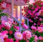 Profile Picture of Youssef X Naim (@youssef.x.naim) on Facebook