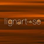 Profile Picture of ▫️▫️▫️▫️▫️▫️▫️▫️ｌｉｇｎａｒｔ-ｓｅ (@lignartse) on Instagram