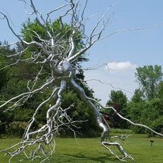 Profile Picture of Jason Zieba (@JTZieba) on Twitter