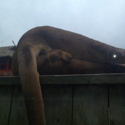 Profile Picture of Andy Gauthier (@andygauthier07) on Twitter