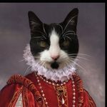 Profile Picture of Dayna Wells (@daynascatcrew) on Instagram