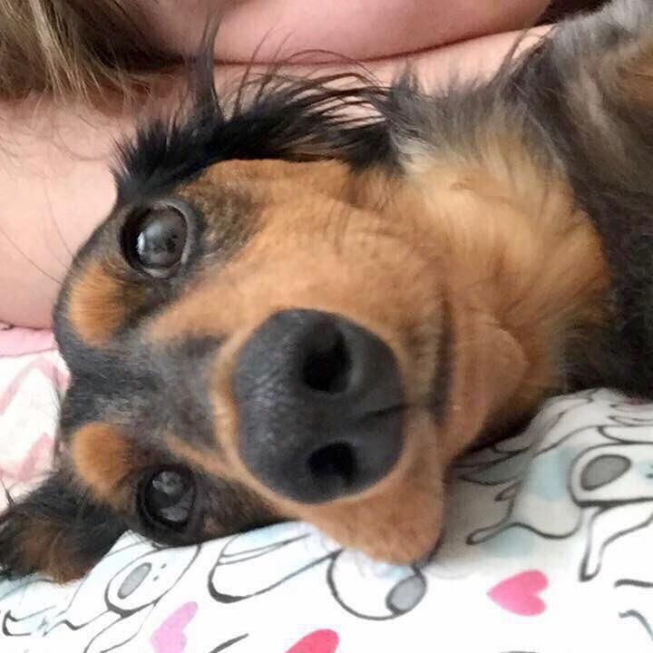 Profile Picture of Kim Rugg (@kjrugg) on Tiktok