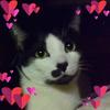 Profile Picture of patriciamcbrien (@patriciamcbrien) on Tiktok