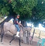 Profile Picture of Mario Netto (@Mario-Netto) on Facebook