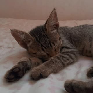 Profile Picture of pardo 💐🛐 (@pardito_) on Instagram