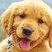 Profile Picture of Grace Cramer McClintock (@cramermcclintock) on Pinterest