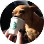 Profile Picture of Jodi Webb (@jodigator) on Instagram