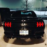 Profile Picture of Craig Soares (@cmoneygts550) on Instagram