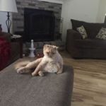 Profile Picture of Thomas Heaston (@thomasheaston) on Instagram