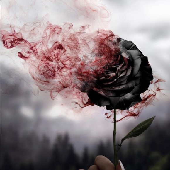 Profile Picture of Hailey Janulis (@haileyjanulis) on Poshmark