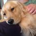Profile Picture of David Gottwald (@davidg4290) on Pinterest