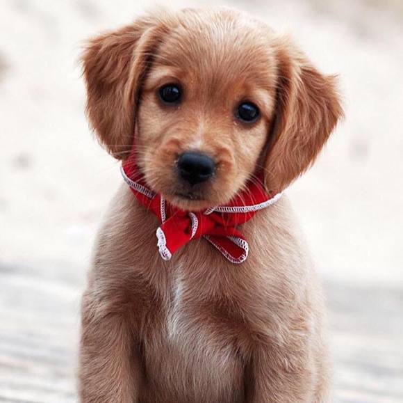 Profile Picture of Kimberly Budka (@kbudka2006) on Poshmark